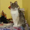 Отзыв от Эльмира Ларина